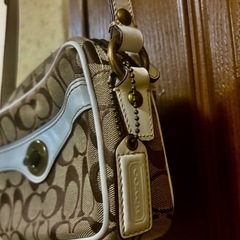 catchショルダー未使用の画像