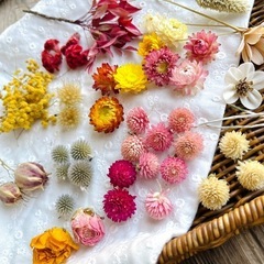 お花いろいろ　自由研究、レジン、キャンドル、小物作りなどにの画像