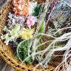 プリザーブドフラワーいろいろ　自由研究、小物制作、レジンなどにの画像