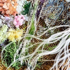 プリザーブドフラワーいろいろ　自由研究、小物制作、レジンなどにの画像