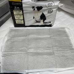 犬用ペットシーツの画像