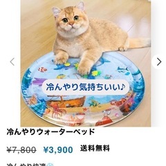 ペット用ウォーターベットの画像