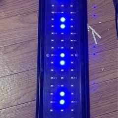 アクアリウム用　ライトの画像