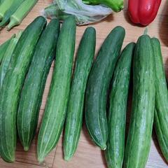 たっぷりお野菜９点の画像