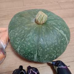 たっぷりお野菜９点の画像
