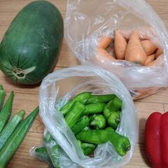 たっぷりお野菜９点の画像