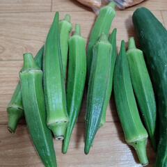 お野菜６点の画像