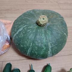 お野菜６点の画像