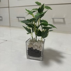 フェイクグリーンの画像