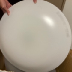 照明 2個セット シーリングライト 電気の画像