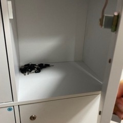 鍵付きロッカー　収納ボックス　2個あります！の画像