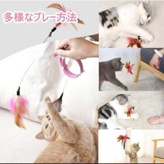 猫のおもちゃの画像