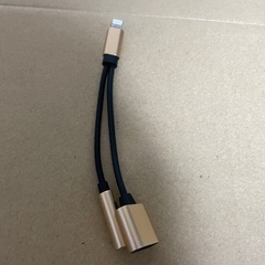 変換アダプタ飛行機ヘッドホンイヤホンとiPhoneイヤホン系とオーディオケーブルとの画像
