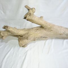 高さ86cm × 幅40cm × 奥行24cm【超重量級・特殊形状】天然流木 登り木＆シェルター構造（No.特008）｜フトアゴ・モニター・カメレオン向けの画像