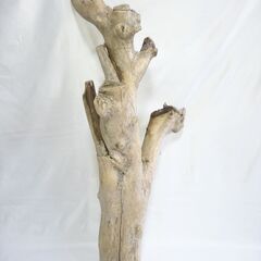 高さ86cm × 幅40cm × 奥行24cm【超重量級・特殊形状】天然流木 登り木＆シェルター構造（No.特008）｜フトアゴ・モニター・カメレオン向けの画像