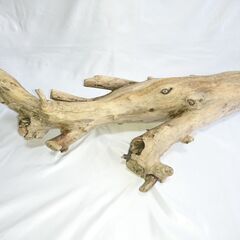 高さ86cm × 幅40cm × 奥行24cm【超重量級・特殊形状】天然流木 登り木＆シェルター構造（No.特008）｜フトアゴ・モニター・カメレオン向けの画像