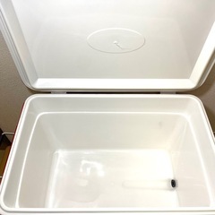 チャムス　クーラーボックス　赤　キャップ　アウトドア　釣り　BBQの画像