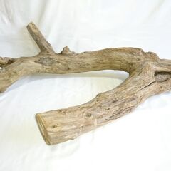 高さ88cm × 幅63cm × 奥行26cm【超重量級・特殊形状】天然流木（No.特006）｜モニター・フトアゴ・パンサーカメレオン向けの画像