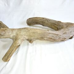 高さ88cm × 幅63cm × 奥行26cm【超重量級・特殊形状】天然流木（No.特006）｜モニター・フトアゴ・パンサーカメレオン向けの画像