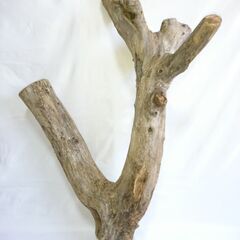 高さ88cm × 幅63cm × 奥行26cm【超重量級・特殊形状】天然流木（No.特006）｜モニター・フトアゴ・パンサーカメレオン向けの画像