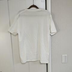 tシャツの画像
