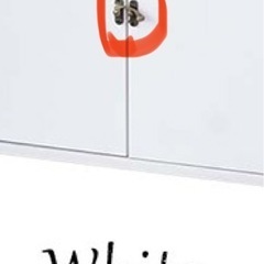 猫　　トイレ収納の画像