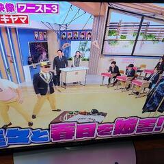 大画面❗SHARP 50V型 4K液晶テレビ ネット動画見れます❗No20の画像
