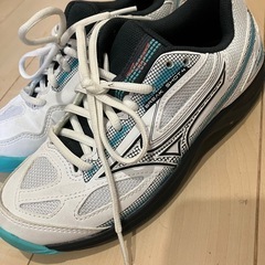 テニスシューズの画像