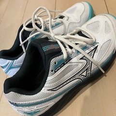 テニスシューズの画像