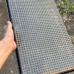 陽除けやトンボ避けに　その他使い方は無限ですね
の画像