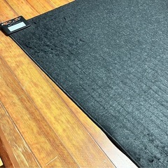 ホットカーペットの画像