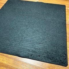ホットカーペットの画像