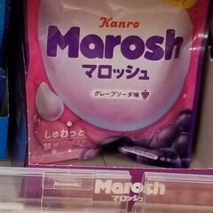 ワンコイン‼️早い者勝ちマロッシュセットの画像
