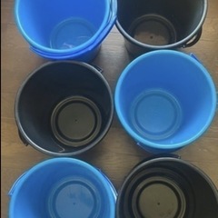 ⭐️値下げしました⭐️綺麗なメダカを育てる為の育成容器にwの画像