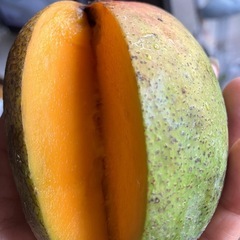 キーツマンゴー(無農薬)の画像