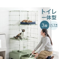 猫ゲージの画像