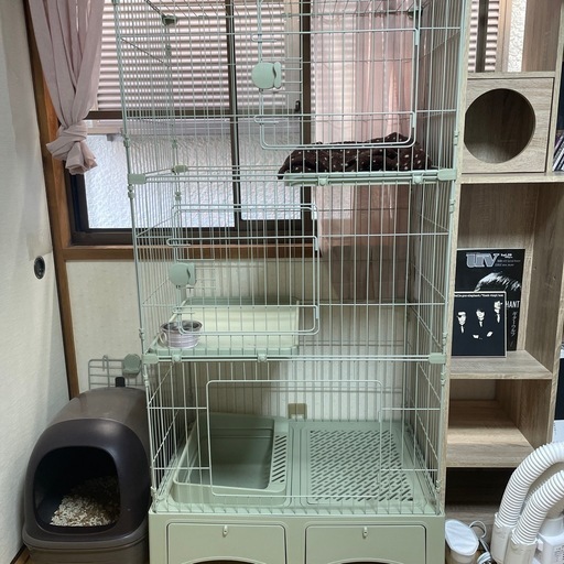 猫ゲージ