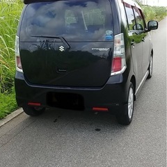 スティングレー の画像