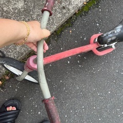 Radio Flyer プレバイクの画像