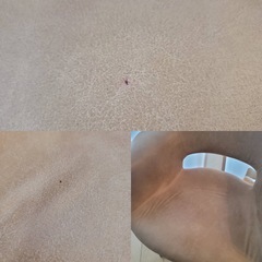 設定変更のため再投稿　NOCE ダイニングテーブルとチェアセット　美品の画像