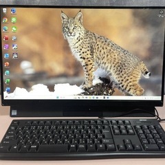 7033★NEC製LAVIE 液晶 一体型 PC★第8世代Core i5★液晶良好★爆速SSD 512GB＋HDD 2TB★テレビの画像