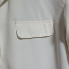 ロートレアモンのブラウスの画像