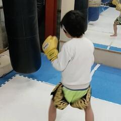 夏休み・キックボクシング短期教室の画像