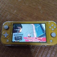 スイッチライトの画像