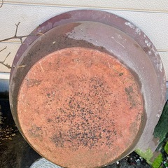 信楽焼睡蓮鉢の画像