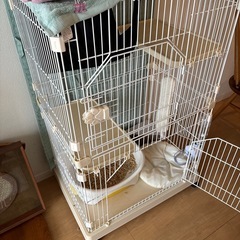 キャットタワー譲ります
の画像