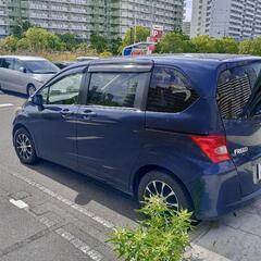 ホンダフリード！の画像