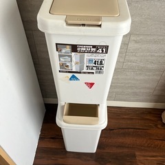 【お話し中】2段分別ダストボックス  ゴミ箱の画像