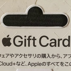 【現在お取引交渉中の為、受け付けておりません】
Apple Gift Card 10,000円の画像