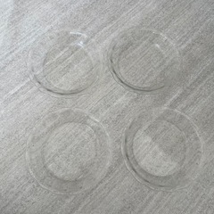 お皿、タッパー　まとめての画像